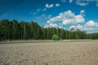 Pürüzlü tarlalar ve ağaçlar, mavi gökyüzündeki bulutlar