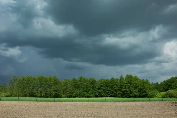 Nuvens de tempestade, árvores e campo — Fotografia de Stock