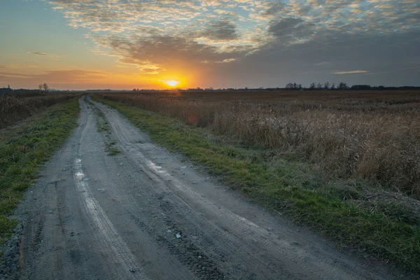 Toprak yol, uzun otlar ve gün batımı, akşam bulutları,