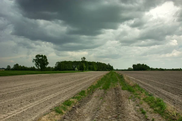 Stormy dark clouds, trees and a road through a field