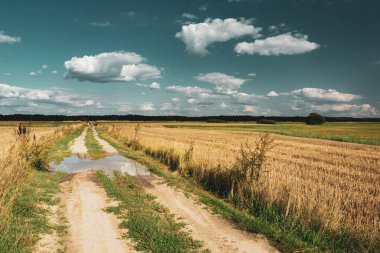 Yoldaki su birikintisi tarlalarda ve gökyüzündeki bulutlarda