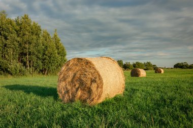 Çayırdaki büyük saman balyası, gökyüzündeki ağaçlar ve bulutlar.