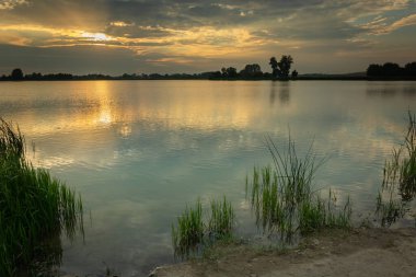 Gölün kıyısında büyüyen yeşil sazlıklar, gökyüzünde bulutlar ve günbatımı