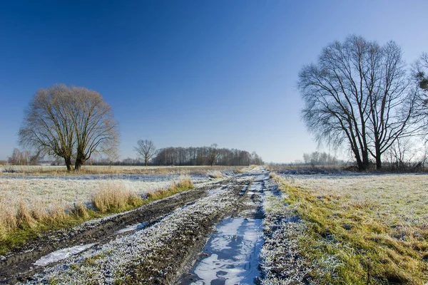 Camino de tierra congelado a través de prados, árboles y cielo azul — Foto de Stock