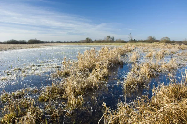 Agua congelada en un prado herboso y cielo azul — Foto de Stock