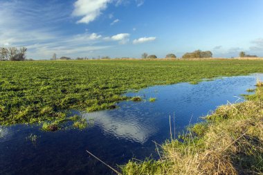 Kırsal alanda su, ufukta ve mavi gökyüzünde