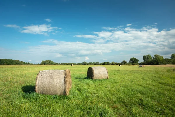 Twee hooicirkels op een groene weide, horizon en witte wolken aan de hemel — Stockfoto