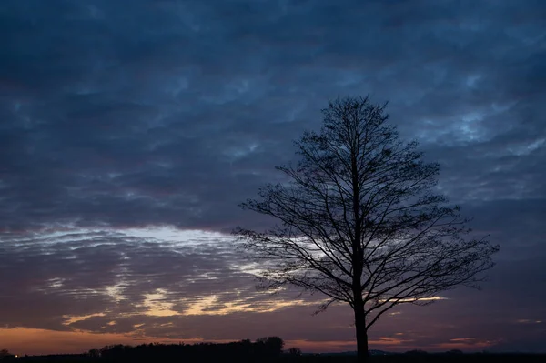 Silueta de un árbol sin hojas, nubes de belleza después del atardecer — Foto de Stock