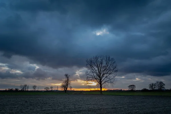 Dunkle Wolken am Himmel nach Sonnenuntergang, gepflügtes Feld und Bäume — Stockfoto