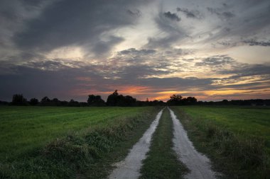Dirt road and around green fields, beauty clouds after sunset on the sky