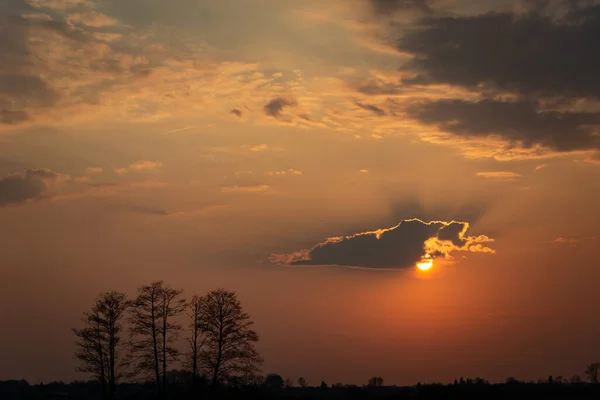 Sonne Mit Einer Wolke Nebligen Himmel Und Blattlosen Bäumen Horizont — Stockfoto