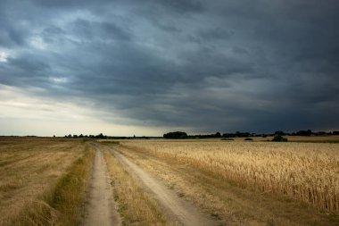 Doğu Polonya 'da fırtınalı bir gün, toprak bir yol ve tarlalar