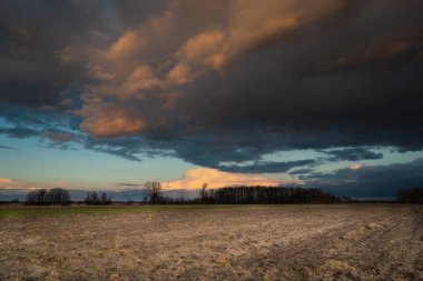 Karanlık fırtına bulutları tarlaların üzerinde güneş tarafından aydınlatılıyor.