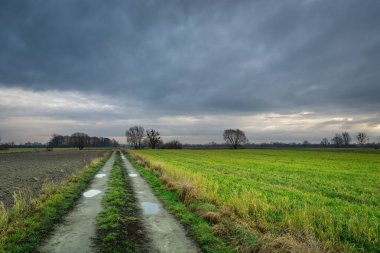 Tarlalar arasında uzun toprak yol, bulutlu bir günde manzara