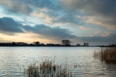 Gölün üzerindeki akşam bulutları sazlıklar, ufukta ağaçlar, gün batımından sonra manzara.