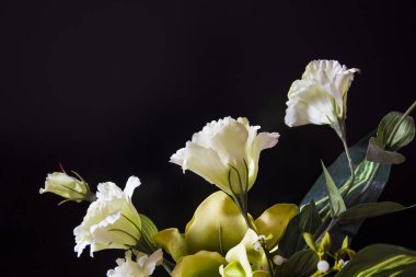 Yapay plastik beyaz çiçekler ve siyah arkaplan