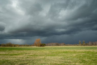 Çayırın üzerinde büyük kara yağmur bulutu, ilkbahar günü manzarası
