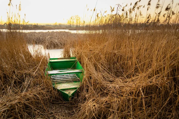 Piccola Barca Verde Sulla Riva Nei Canneti — Foto Stock