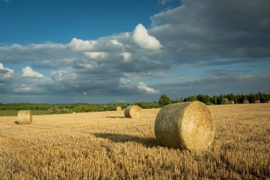 Bir tarlada saman balyaları ve mavi gökyüzünde bulutlar
