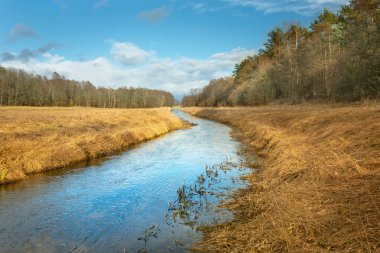 Uherka Nehri kurak çayırlar ve ormanlar boyunca akar, ilkbahar manzarası, Sajczyce, Polonya