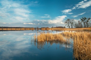 Mavi gölde kuru sarı sazlıklar ve suda yansıyan bulutlar.