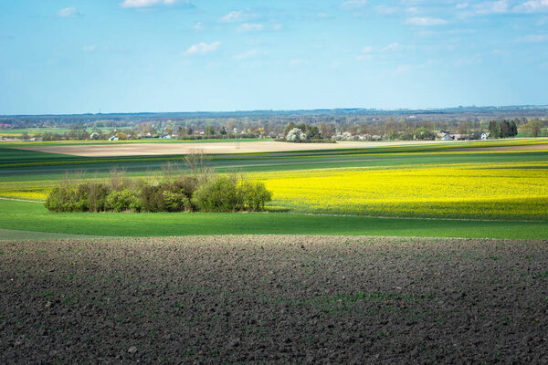 Beauty panorama of sunlit farmlands, trees and blue sky