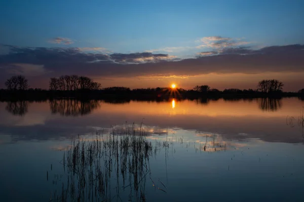 Pôr Sol Bonito Sobre Lago Calmo Com Juncos Nuvem Noite — Fotografia de Stock