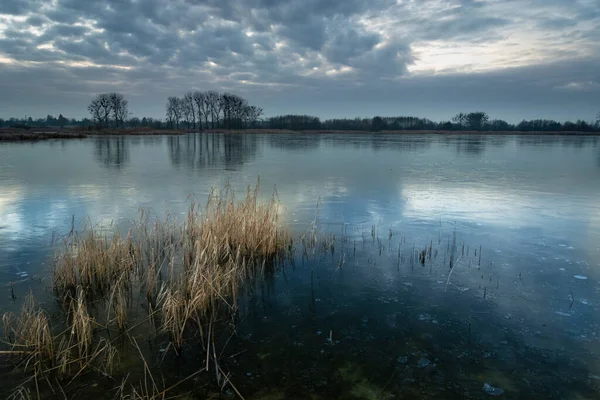 Belo Tiro Lago Congelado Com Juncos Secos Árvores Horizonte Nuvens — Fotografia de Stock