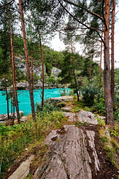 Dağlarda ağaçlarda Norveç çevrili güzel turkuaz Nehri