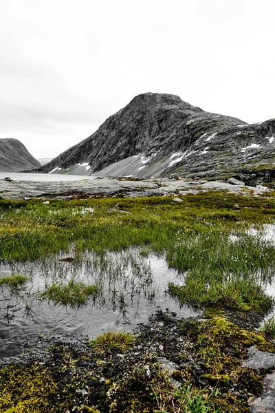 Hierba verde y agua en las montañas de Norway con cumbres cubiertas de nieve y un lago — Foto de Stock