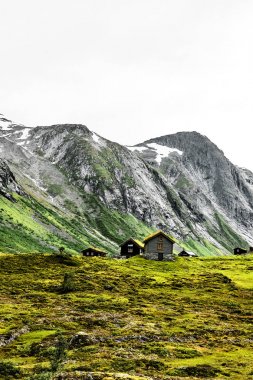 Yeşil çayırlar ve ön planda beyaz su Nehri ile Norveç'in dağlarda çimen çatı evler
