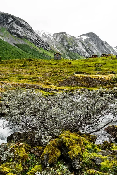 Casas de telhado de grama nas montanhas da Noruega com prados verdes e um rio de água branca em primeiro plano — Fotografia de Stock
