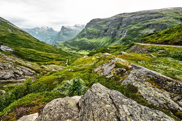 Weg über grüne Weiden in den Bergen Westnorwegens mit Schnee auf den Gipfeln und dunklem Himmel — Stockfoto