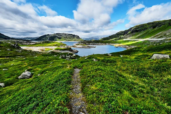 Arka plan mavi bir bulutlu gökyüzü ile yayla yeşil çayırlar, taşlar, dağlar ve bir göl içinde Norveç'te güzel manzara