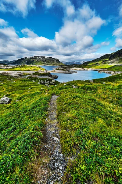 Arka plan mavi bir bulutlu gökyüzü ile yayla yeşil çayırlar, taşlar, dağlar ve bir göl içinde Norveç'te güzel manzara