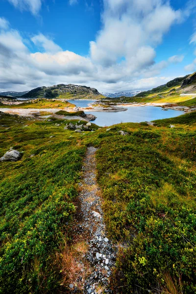 Schöne Landschaft Norwegen Mit Einem Wanderweg Der Durch Ein Tal — Stockfoto