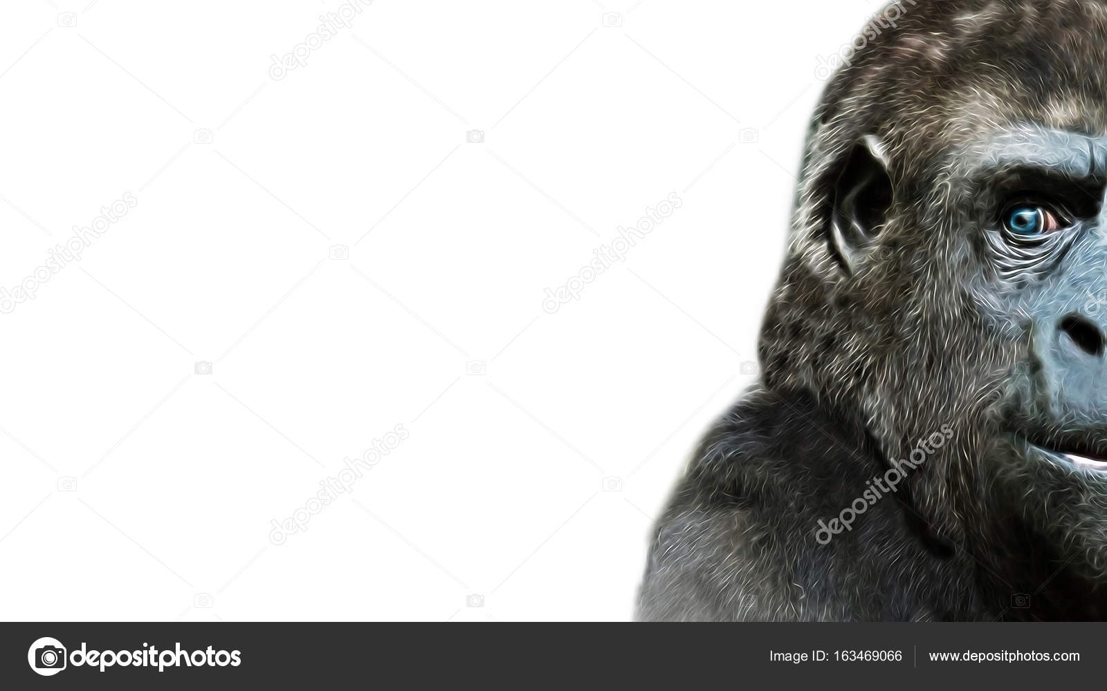 ゴリラのデジタル鉛筆イラスト ストック写真 C Studiolondon