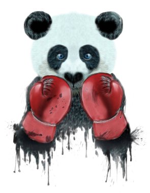 boksör panda - t-shirt için görüntü