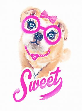Fransız bulldog köpek portre 