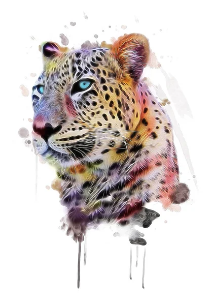 Cartaz de leopardo colorido elegante — Fotografia de Stock