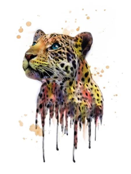 Wild leopard poster — Stockfoto