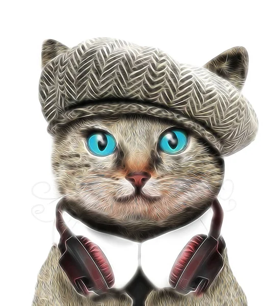 Adorable cat in hat with earphones — Stock Photo, Image