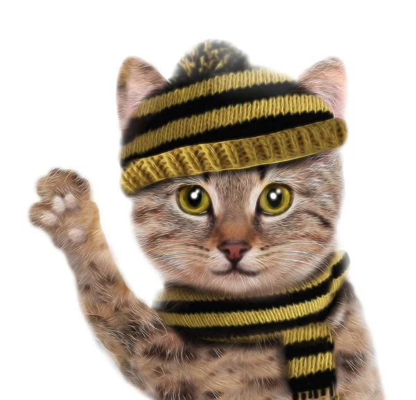 Rolig katt i scarf och hatt — Stockfoto