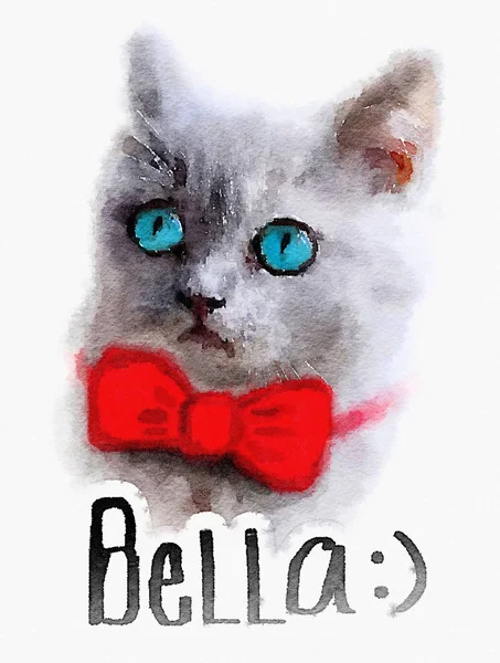 Impressão de gato cinza adorável — Fotografia de Stock