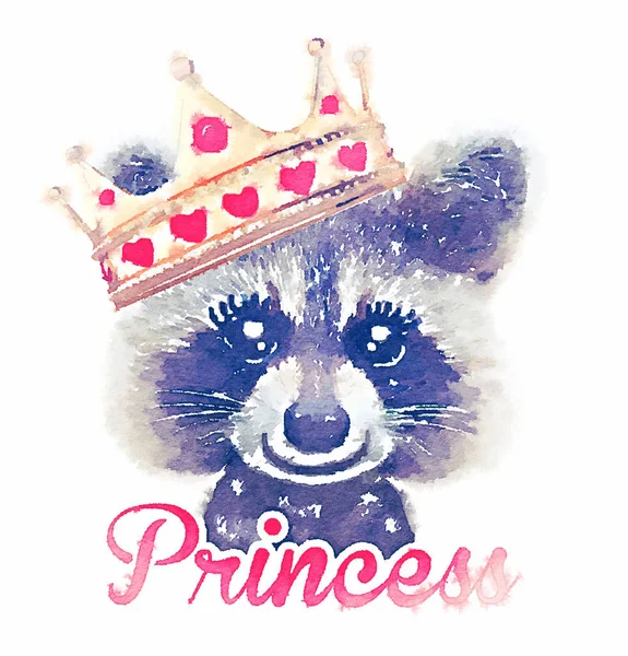 Cute księżniczka racoon — Zdjęcie stockowe