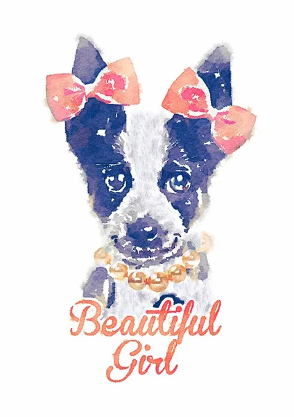 Jack russell print — Stock Photo, Image