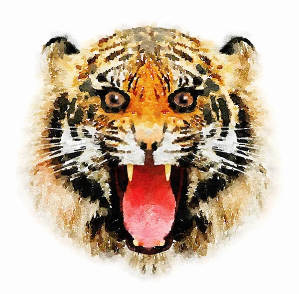 Дикого тигра друку — стокове фото