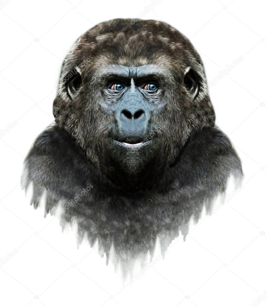 Digital pencil illustration of a gorilla