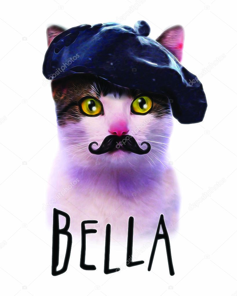 Funny cat with moustache