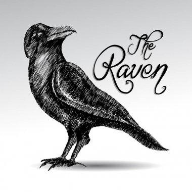 T-shirt baskı raven